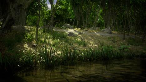 lush riverside scene with greenery and daytime water reflection
