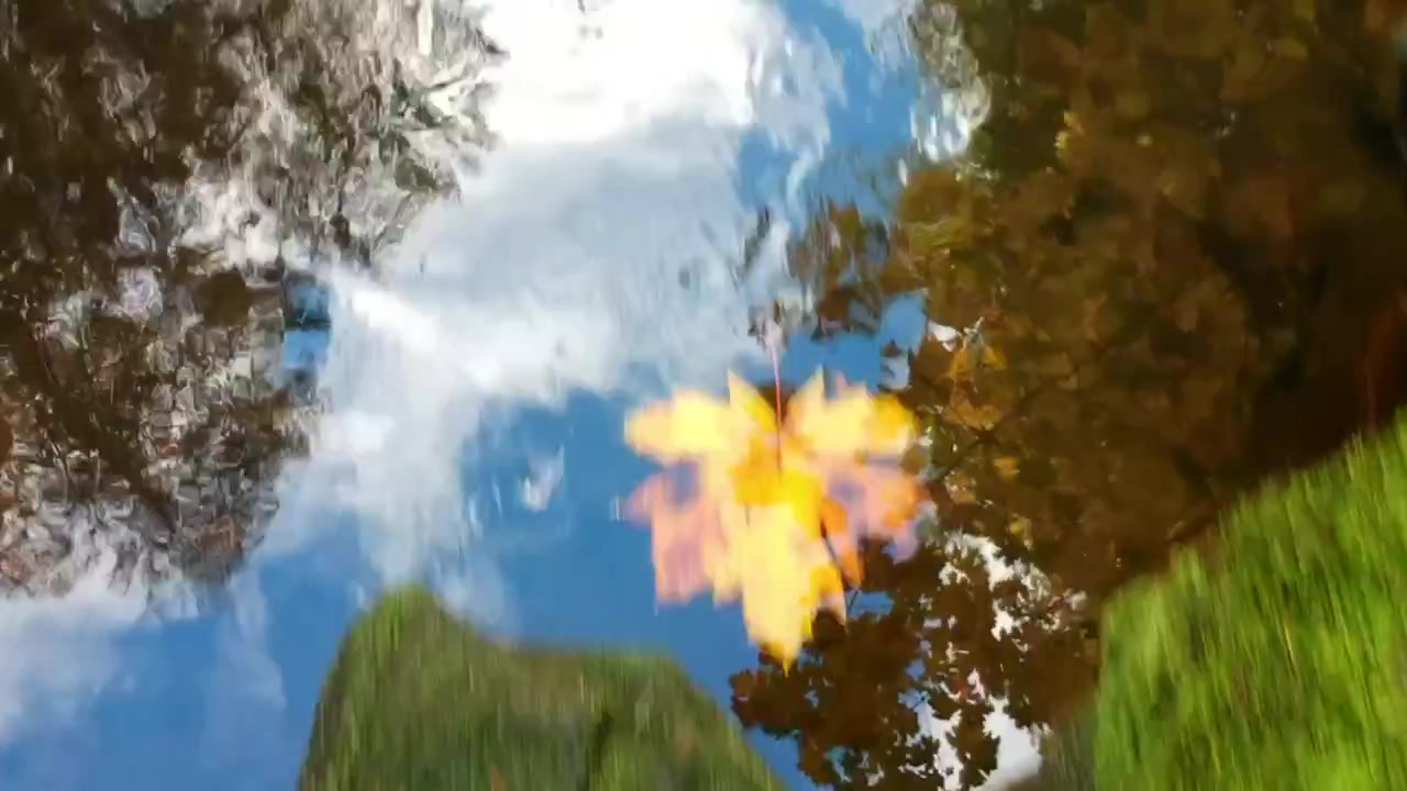 Drohnen-Nahaufnahme, Flug über kleinen Bach im Wald, Blätter und Steine im Wasser, Sonnenreflexionen