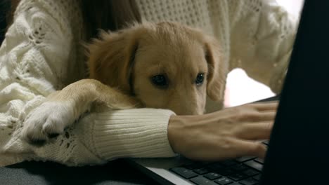 woman working from home