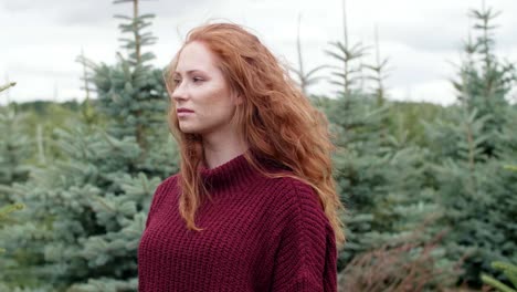 woman in a coniferous forest