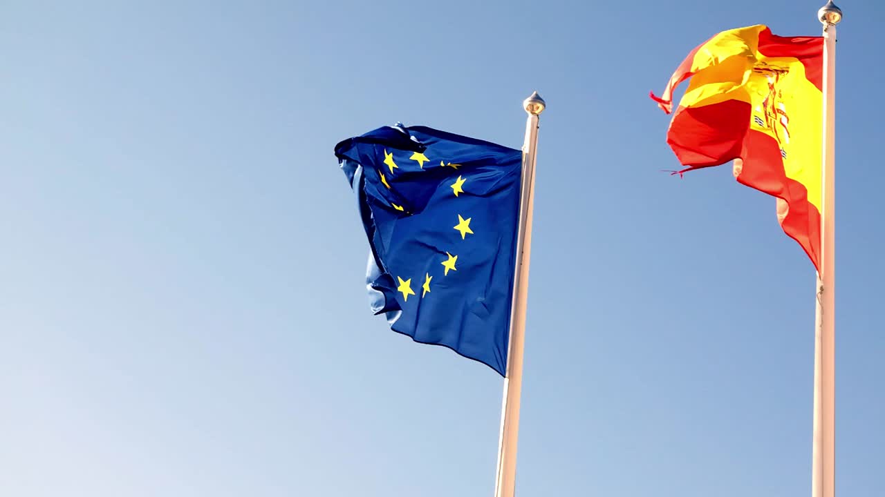 유럽과 스페인의 발이 토레비에하 근처의 비스타벨라에서 날아다니고 있습니다.