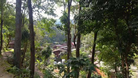 beautiful view into forest with wooden houses, handheld view