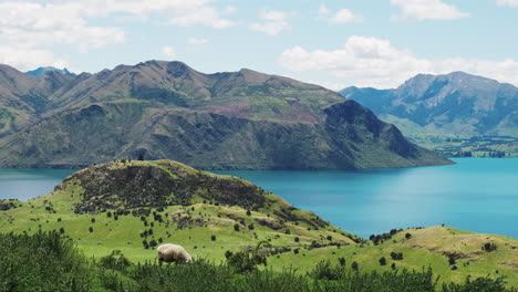 a solitary sheep grazes on a picturesque hill overlooking a beautiful mountain lake under a partially cloudy sky