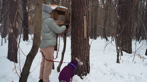woman wearing winter coat and hat checking wooden bird feeder attached to tree while holding red leash of whippet dog in purple coat, standing in snow-covered forest surrounded by bare trees and silence