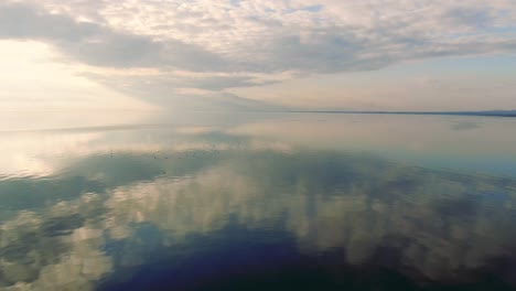 bandada de pájaros volando sobre el cielo reflejando el lago salado, el mar de salton, toma de establecimiento, el horizonte es simétrico, vista del lago de espejo