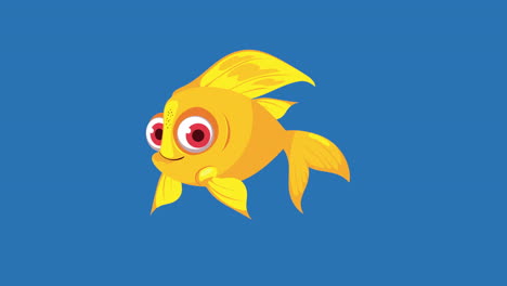 ornamental yellow fish swiming sealife animation