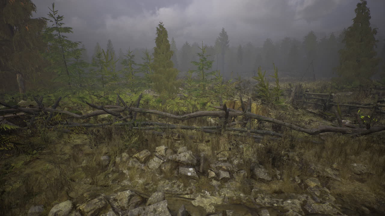 Mysterious forest landscape shrouded in fog and rustic charm