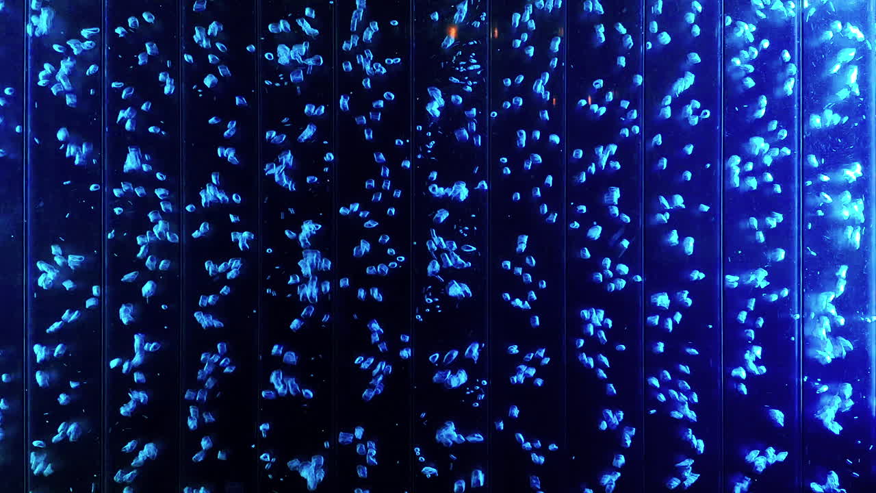 벽의 유리 표면에서 추상 여러 가지 빛깔의 기포 상승 - 스톡 비디오