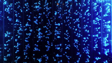 Abstract multicoloured air bubbles rise in the glass surface of a wall - stock video