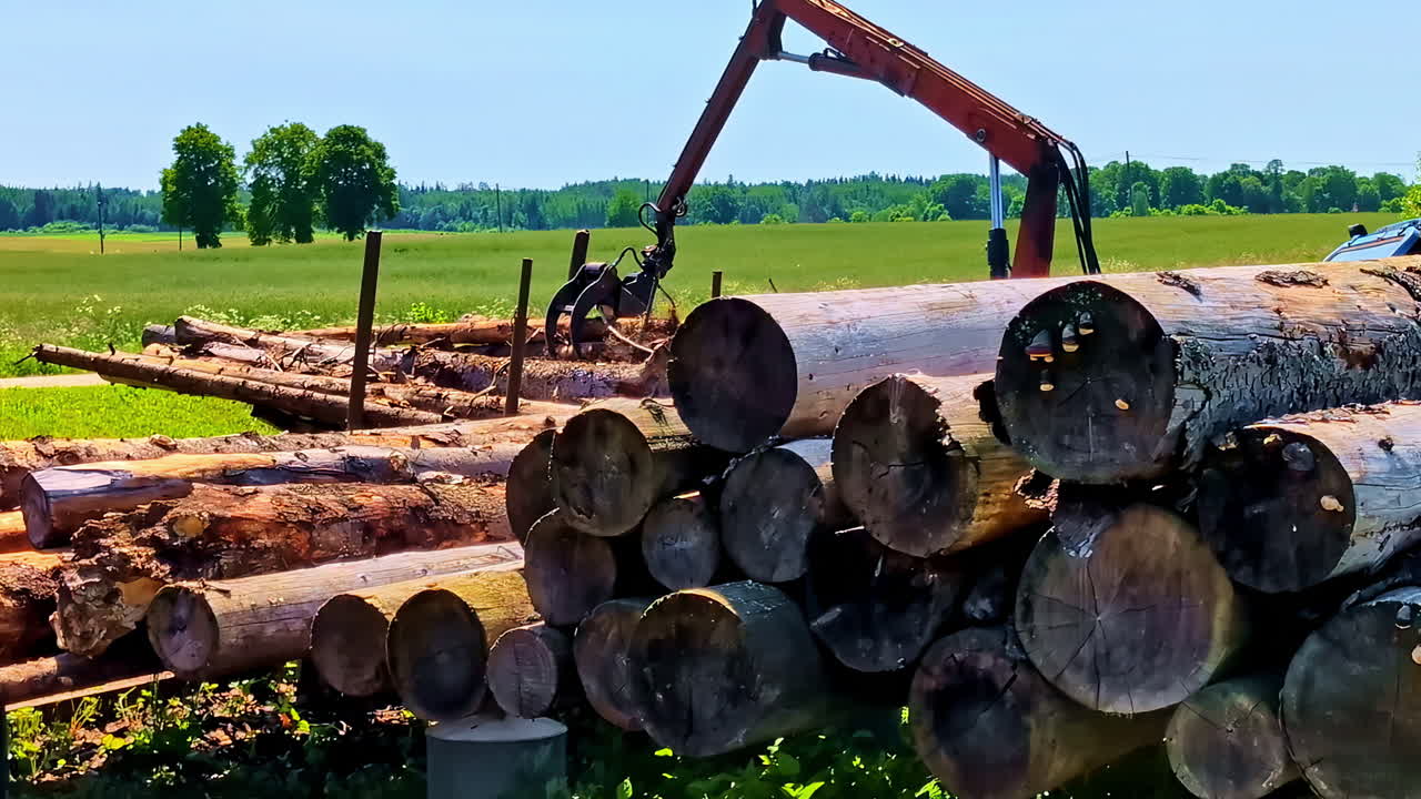 Large cut logs in rural field with red forestry crane lifting timber in summer