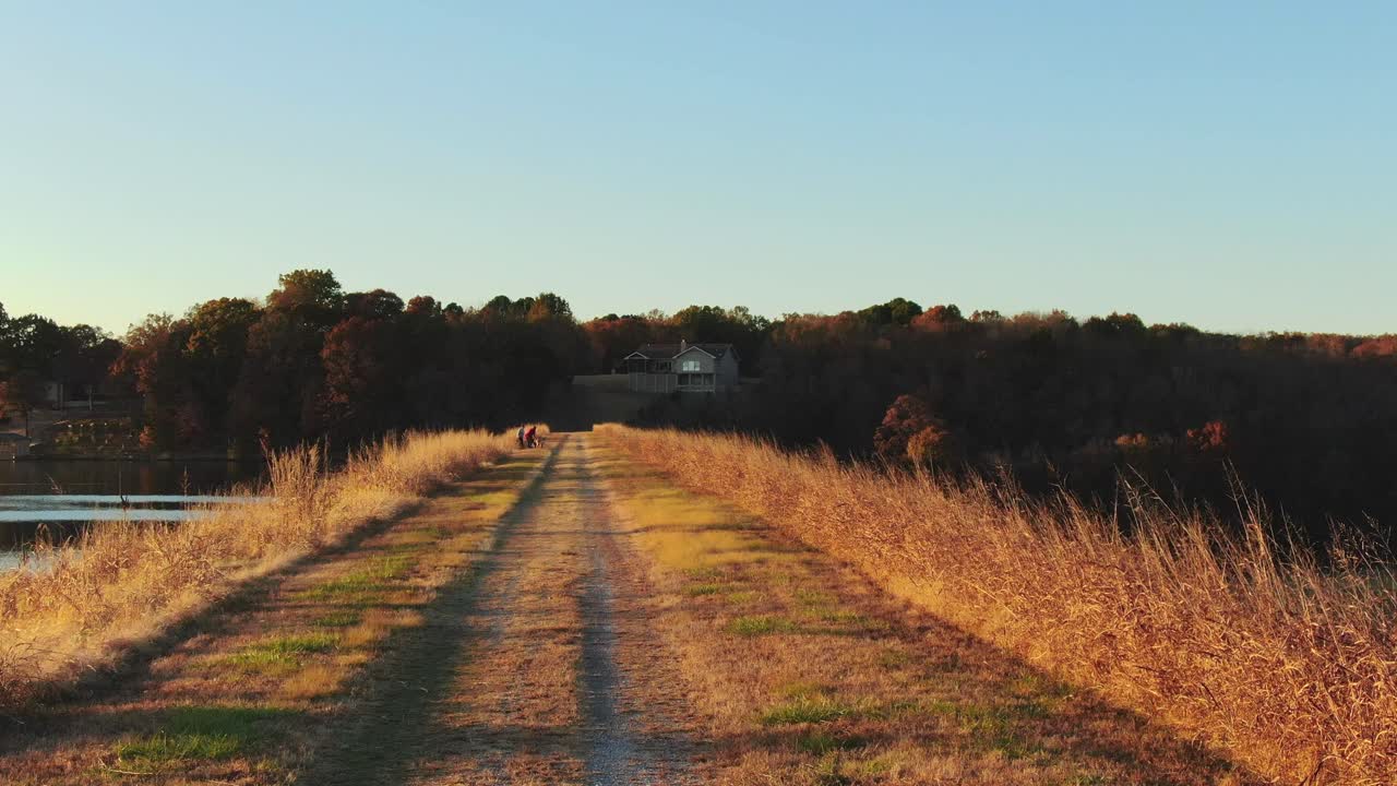 가족 들 이 호수 연안 에 있는 황금 길 에서 개 들 과 함께 놀고 있다