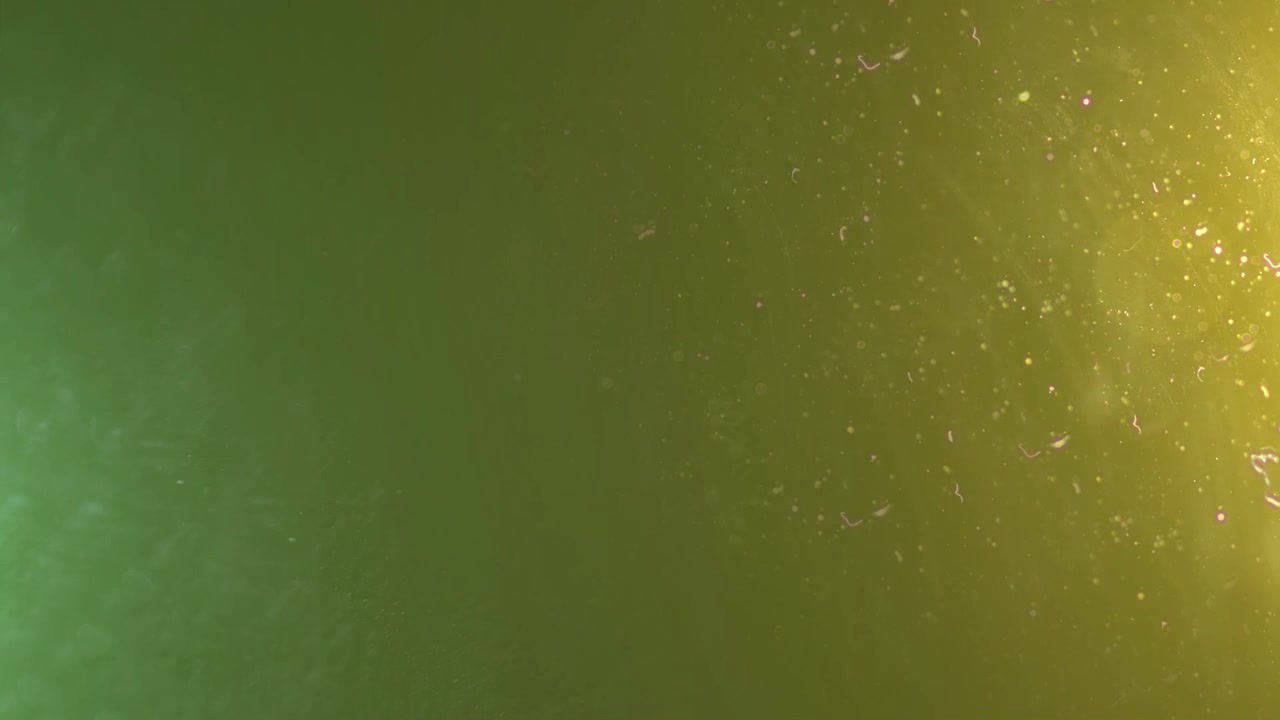 Sfondo astratto con gradiente verde e giallo e particelle fluttuanti