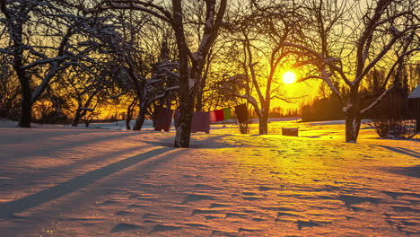 Goldener-Sonnenaufgang-Im-Zeitraffer-über-Verschneitem-Boden-Im-Ländlichen-Dorfgebiet-Mit-Bäumen