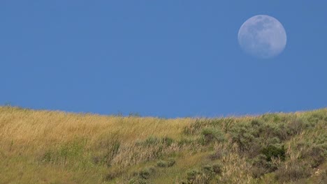 Una-Luna-Llena-Se-Eleva-Sobre-Una-Ladera-En-California-Con-Hierba-Soplando-En-Esta-Hermosa-Naturaleza-Shot-2