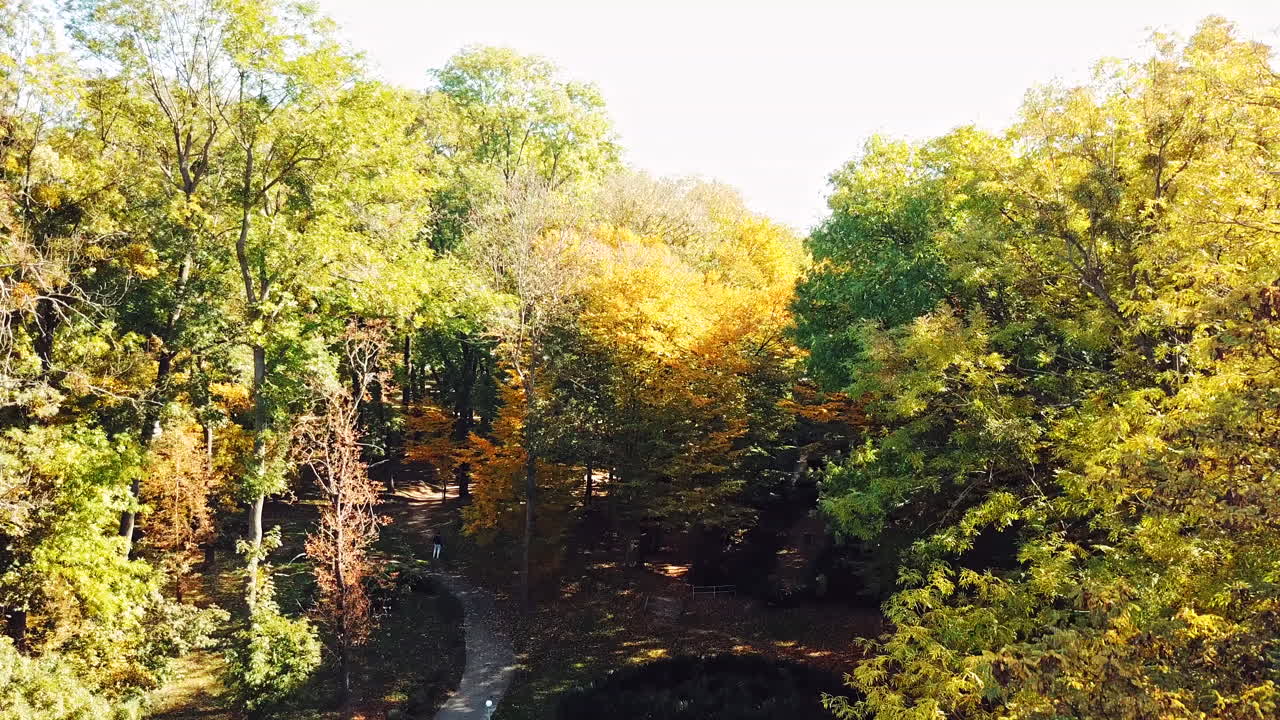 View on holiday park alley. Aerial view of a city park with walking path and green zone trees