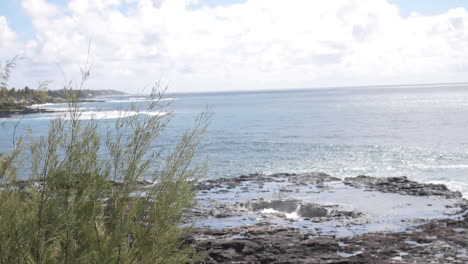 water spews out of hole on rocky shore in hawaii