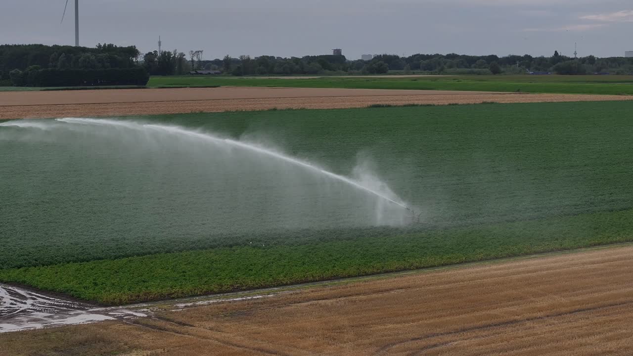 Automatic sprinkler waters green agricultural field, wide aerial parallax
