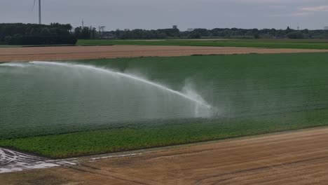 automatic sprinkler waters green agricultural field, wide aerial parallax