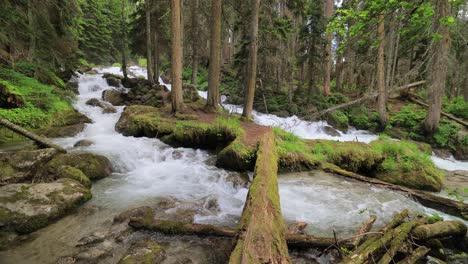 Mountain-River-in-the-wood.-Beautiful-wildlife-landscape.