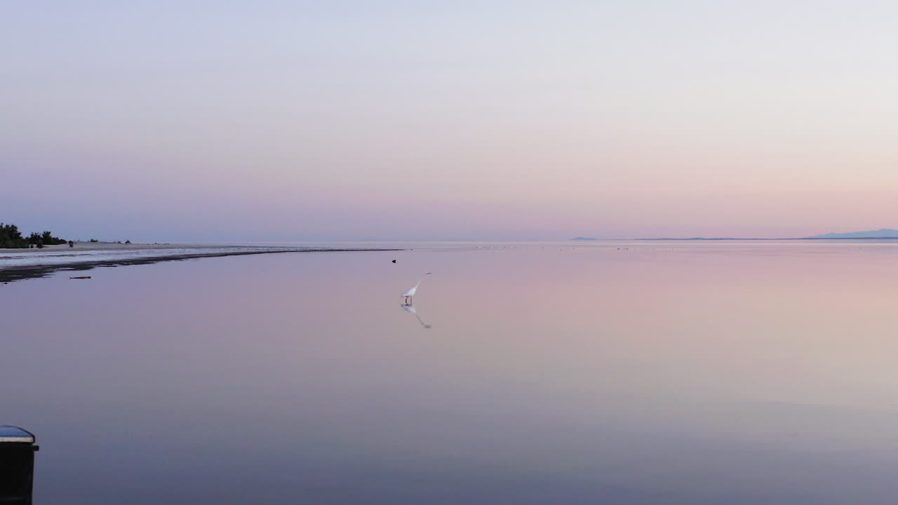 Cinematic wide shot of the pink and blue sunset reflections over the calm waters of the Salton Sea in the California desert