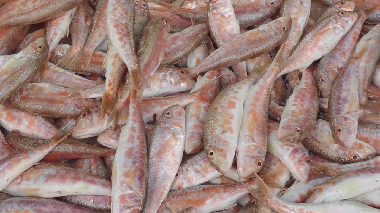 Pile of Fresh Fish at a Market