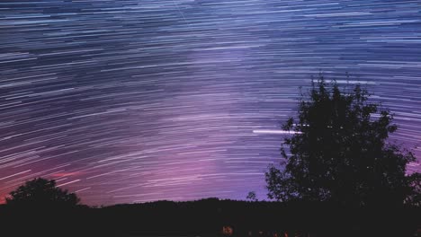 rutas de estrellas sobre los árboles por la noche