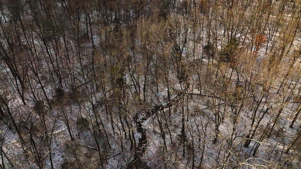 아칸소 주 마운트 세코야 (mount sequoia) 는 겨울에 벌거벗은 나무와 가운 눈으로 여 있습니다.