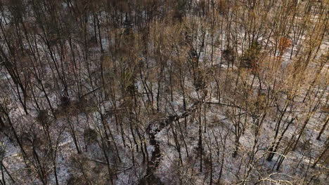 Mount-sequoyah,-arkansas,-with-bare-trees-and-light-snow-cover-in-winter,-drone-shot,-aerial-view