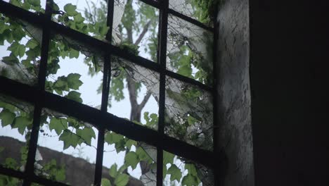 closeup day interior of shattered windowed in abandoned building