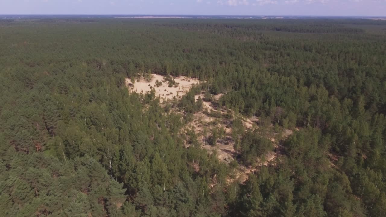 Sand Dunes in The Middle of The Forest. Aerial Flying Backwards
