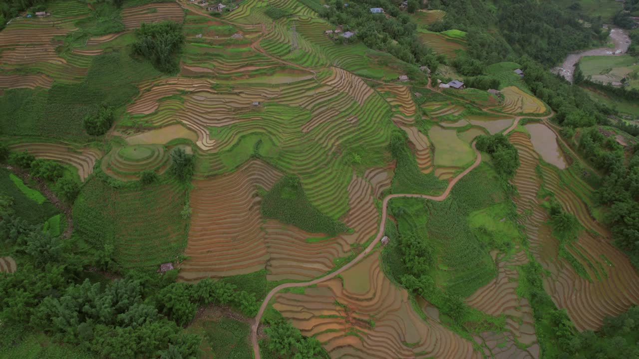 Aerial view of lush green rice terraces