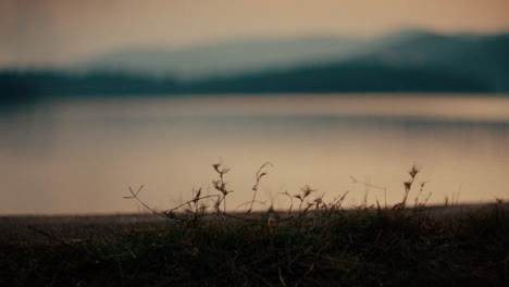 runner by the lakeside at sunset