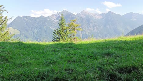 acampar en una carpa en las montañas de austria