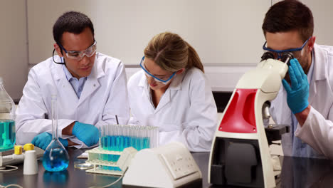 young scientists working together in the lab