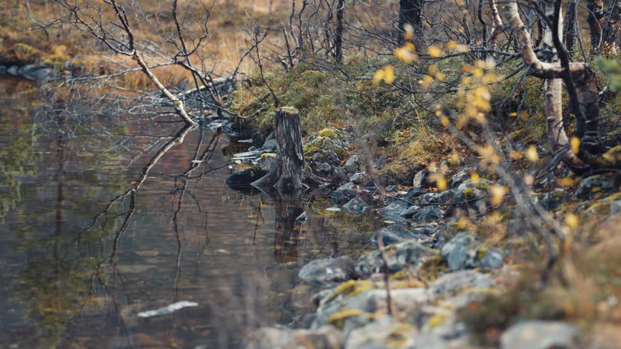 Una escena tranquila.