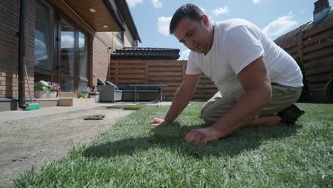 gardener laying lawn in private yard with wooden fence