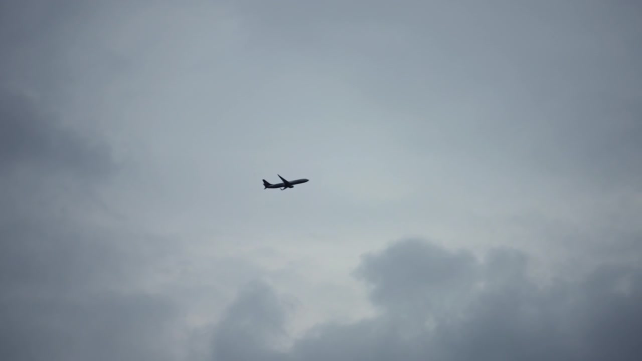 Et fly flyver højt mod en stormfuld himmel