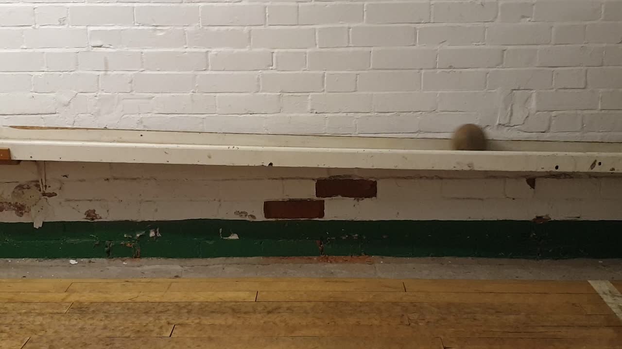 세 개의 나무 공이 굴러 내려 skittles 골목에서, 전통적인 영국 술집 게임