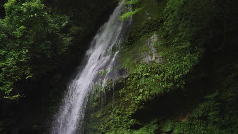 Revelación-De-Inclinación-4k-De-La-Cascada-Biwa-No-Taki-En-El-Valle-De-Iya-De-Tokushima,-Japón