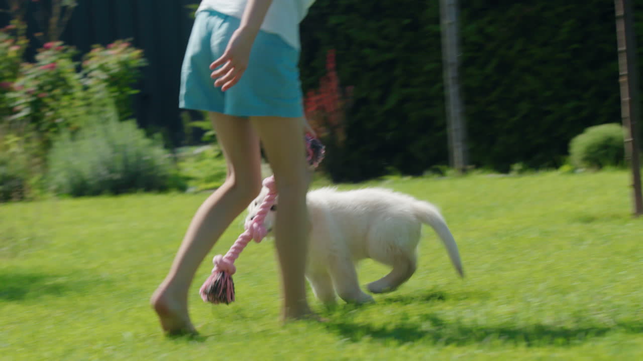 Un bambino gioca al tiro alla fune con un adorabile cucciolo di golden retriever. Si diverte nel cortile di casa.