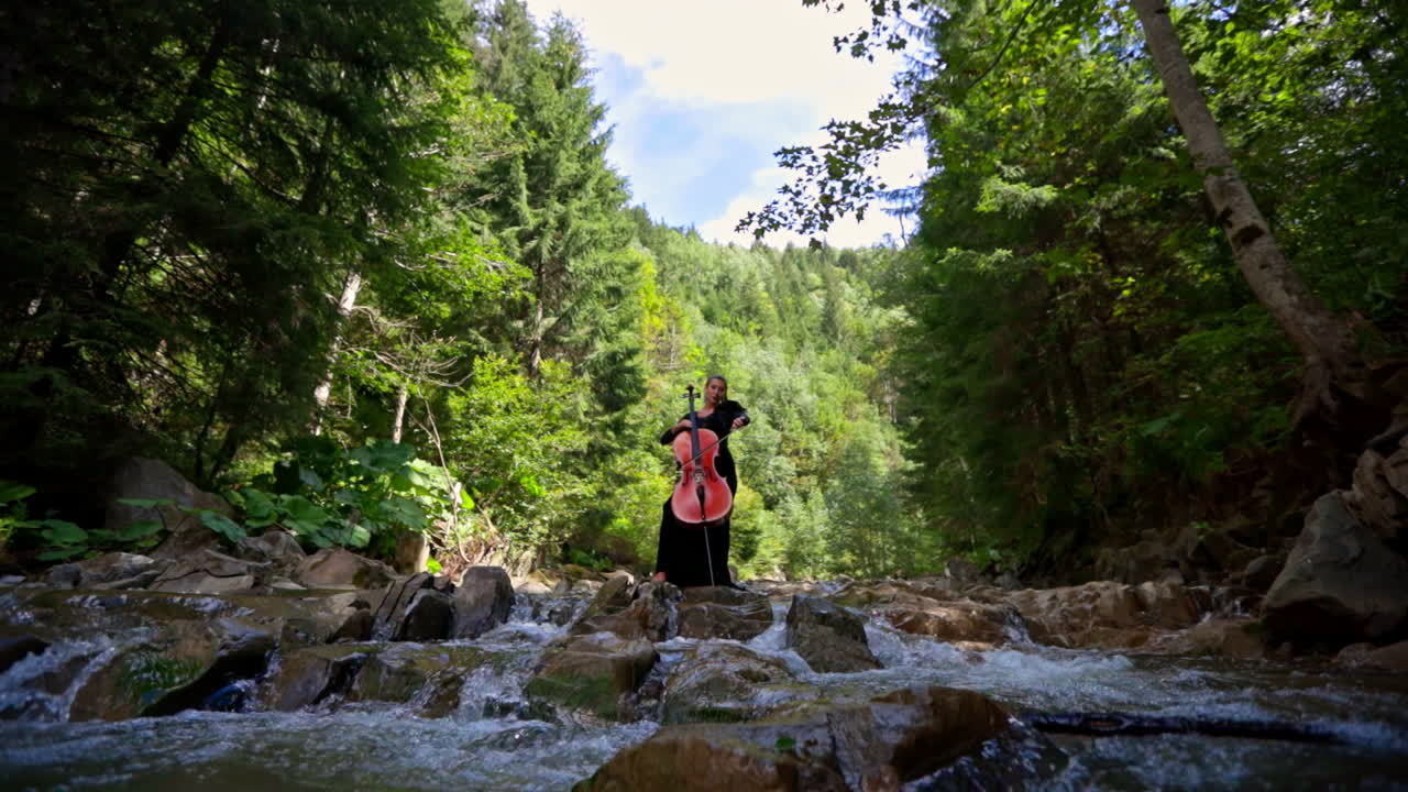 Beautiful girl playing cello in river. Young woman playing cello in river outdoors