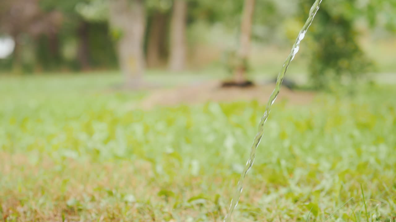 un gran pastor bebe ansiosamente agua de una manguera en el patio de una cabaña privada