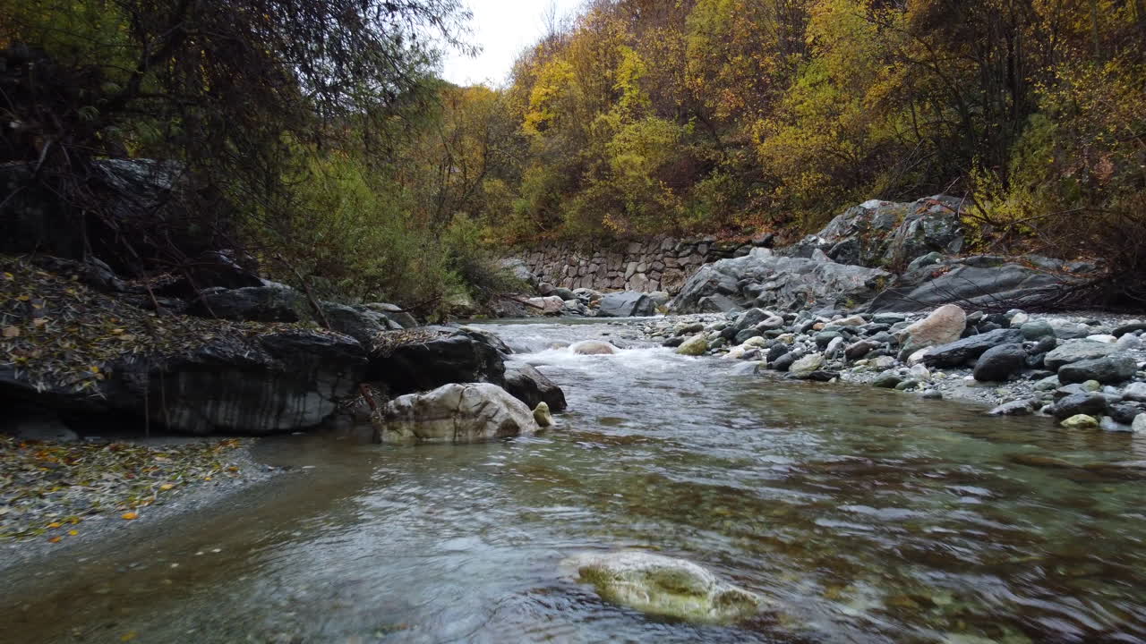 Vista aerea del corso d'acqua di un fiume di montagna con fogliame autunnale di alberi rossi e gialli
