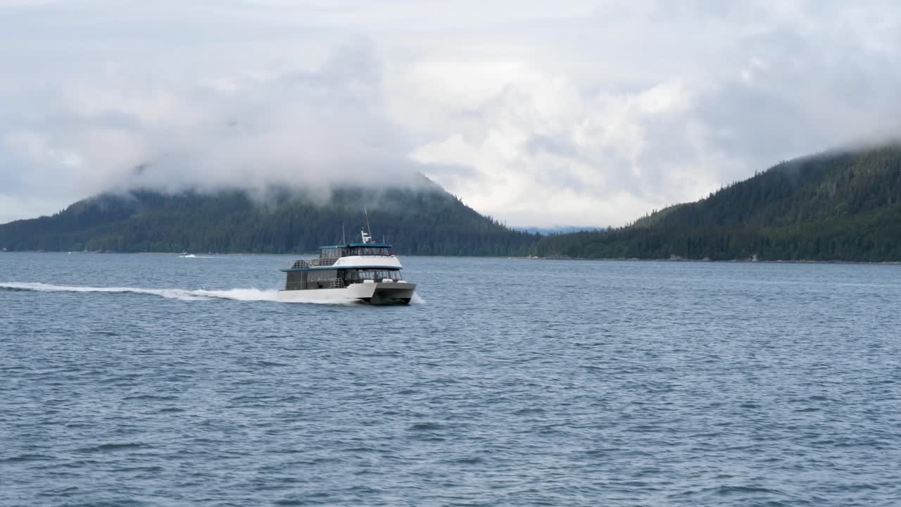 알래스카 주니우 에서 고래 를 관찰 하는 것