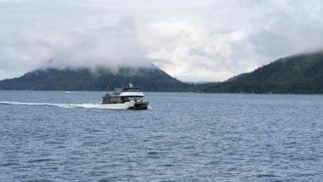 whale watching in juneau, alaska