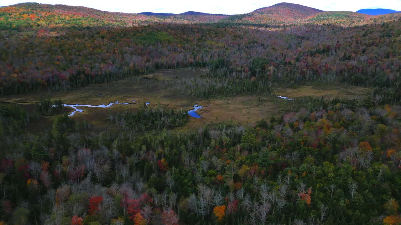 carretilla aérea panorámica por encima de bosque de follaje de otoño mixto a pantano de montaña y estanque bajo la sombra de la nube