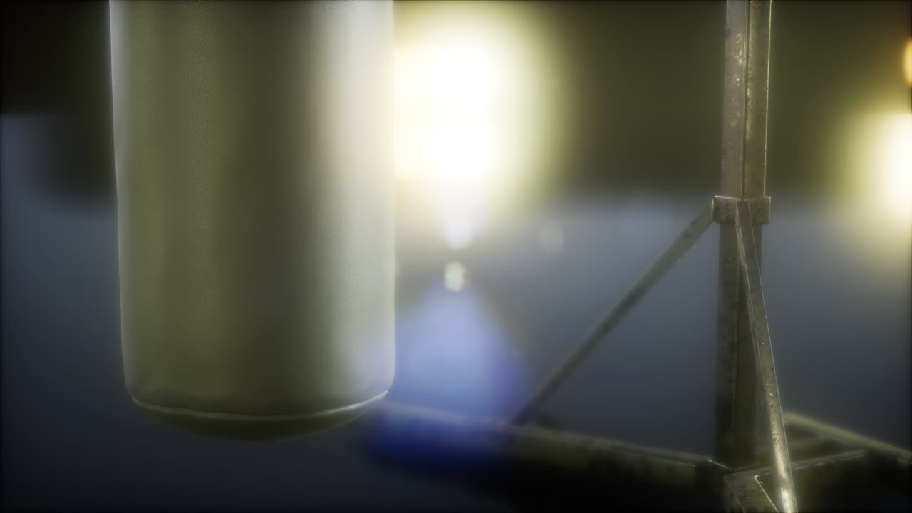 Punching bag for boxing or kick boxing sport