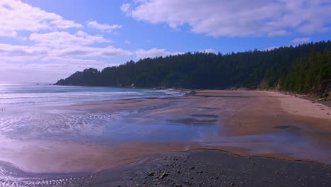 Aerial-flying-sideways-over-wet-sand,-seagulls-flying,-surfers,-trees