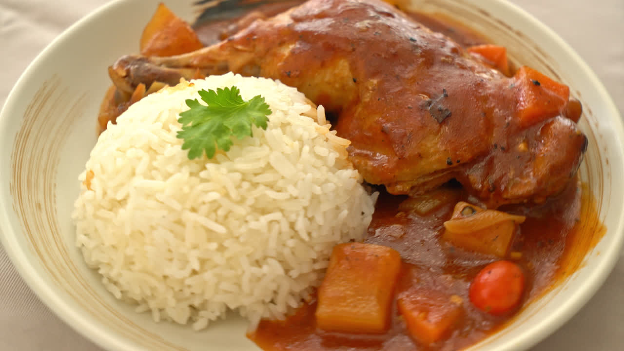 ensopado de frango caseiro com tomate, cebola, cenoura e batata no prato com arroz