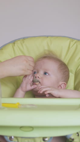careful mommy feeds cute little son with wholesome meal from bowl baby sits in light green highchair at white wall